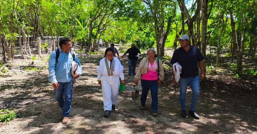 Impulsa Gobierno de Estefanía Mercado campaña contra plaga que amenaza a las abejas y al campo de Playa del Carmen