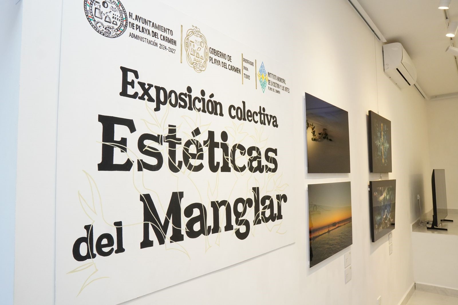 “Estéticas del manglar”, exposición colectiva en la Galería de Arte