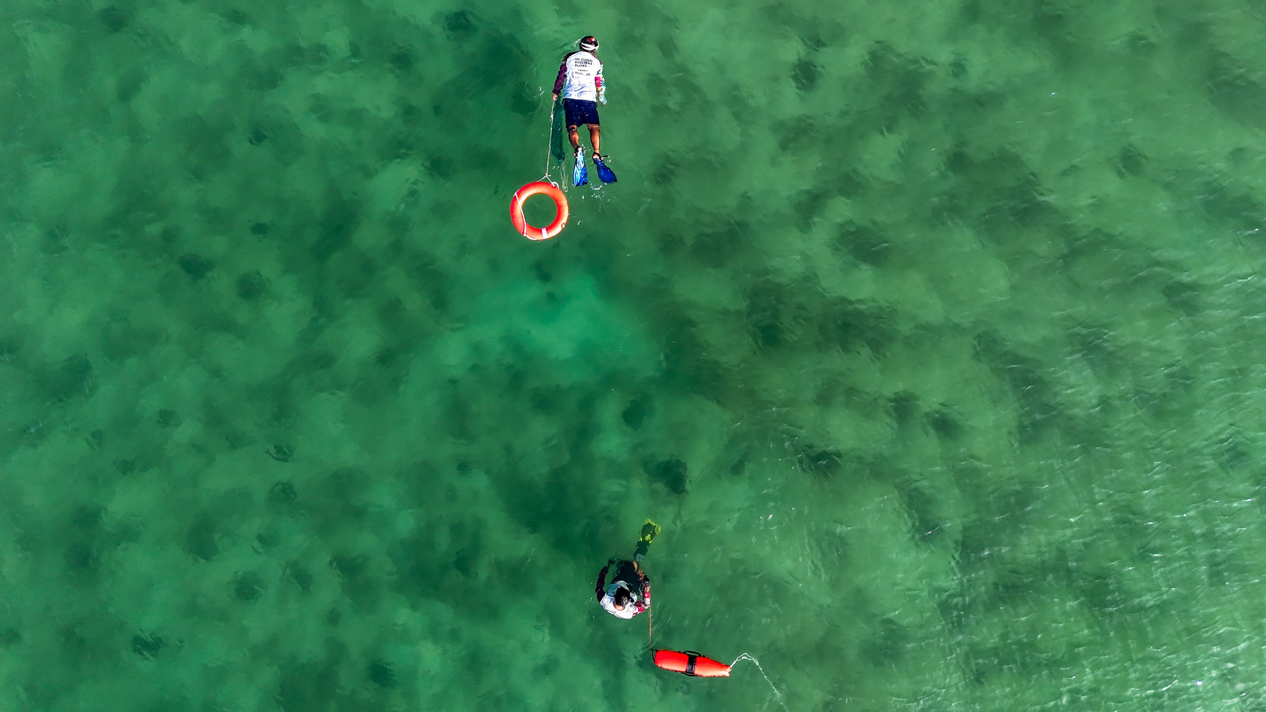 Recolectan más de 2.5 toneladas de residuos en playas y fondo marino de Playa del Carmen