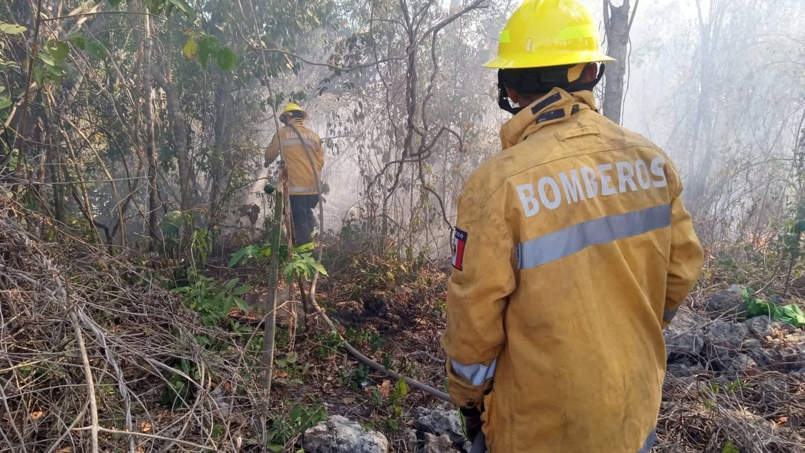 Playa del Carmen cierra la temporada de incendios forestales 2025 con 914 incidentes atendidos