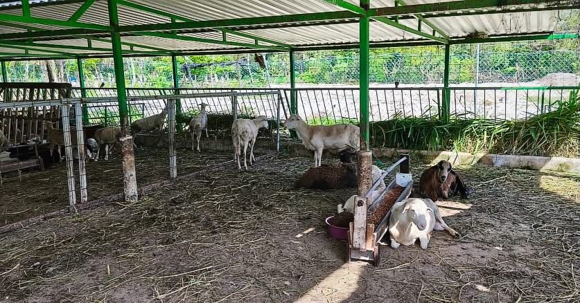 Gobierno de Estefanía Mercado fortalece el campo playense para que la riqueza turística se traduzca en bienestar para todas y todos
