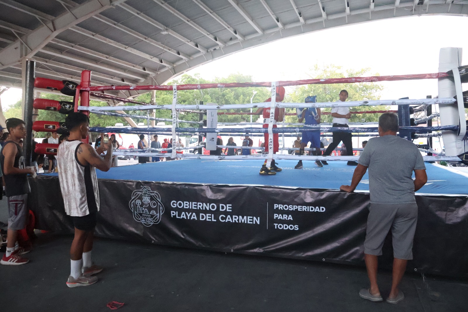 Gobierno de Estefanía Mercado pone en marcha el programa “Box en tu colonia” para fomentar el deporte en Playa del Carmen