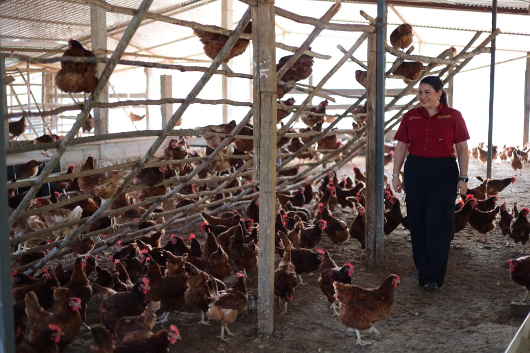 Gobierno de Estefanía Mercado fortalece el potencial del sector productivo de Playa del Carmen